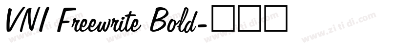 VNI Freewrite Bold字体转换